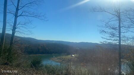 134 Skyview Road Speedwell, TN 37870 - Photo 16 of 19 Pic 16