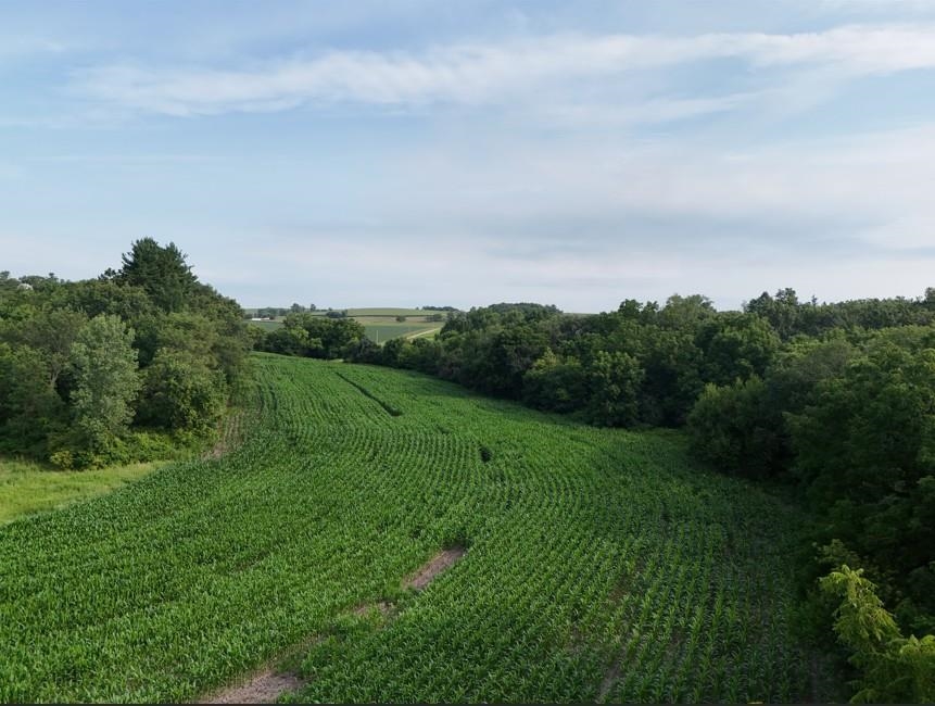 40-acres Highpoint Road Monticello, WI 53570 - Photo 29 of 34