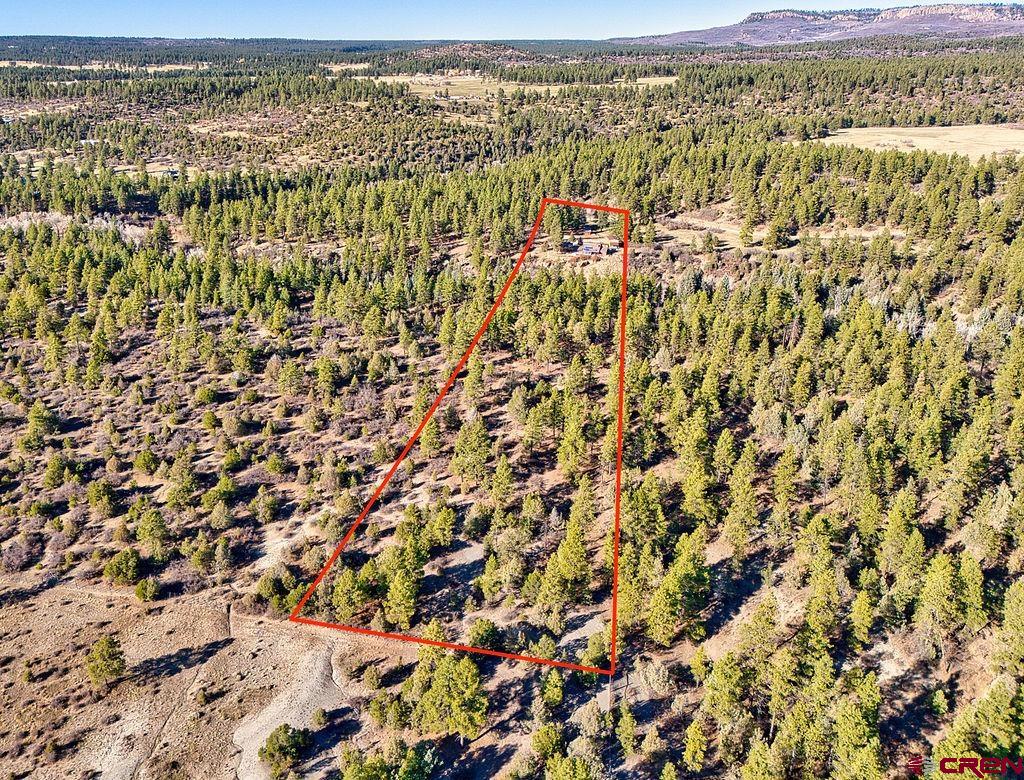 44750 Rd L Mancos, CO 81328 - Photo 42 of 45