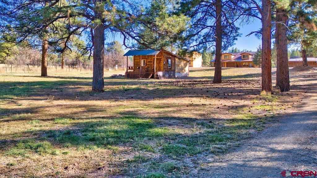 44750 Rd L Mancos, CO 81328 - Photo 7 of 45 a view of a yard with trees