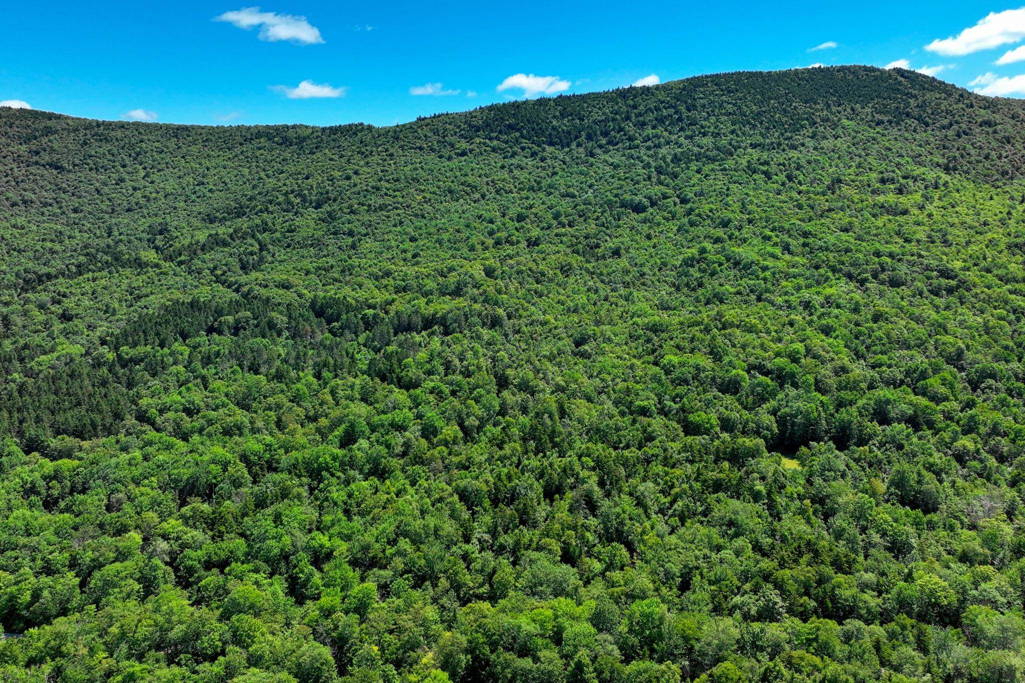 1498 North Hollow Road Rochester, VT 05767 - Photo 13 of 20 Gallery Image 13