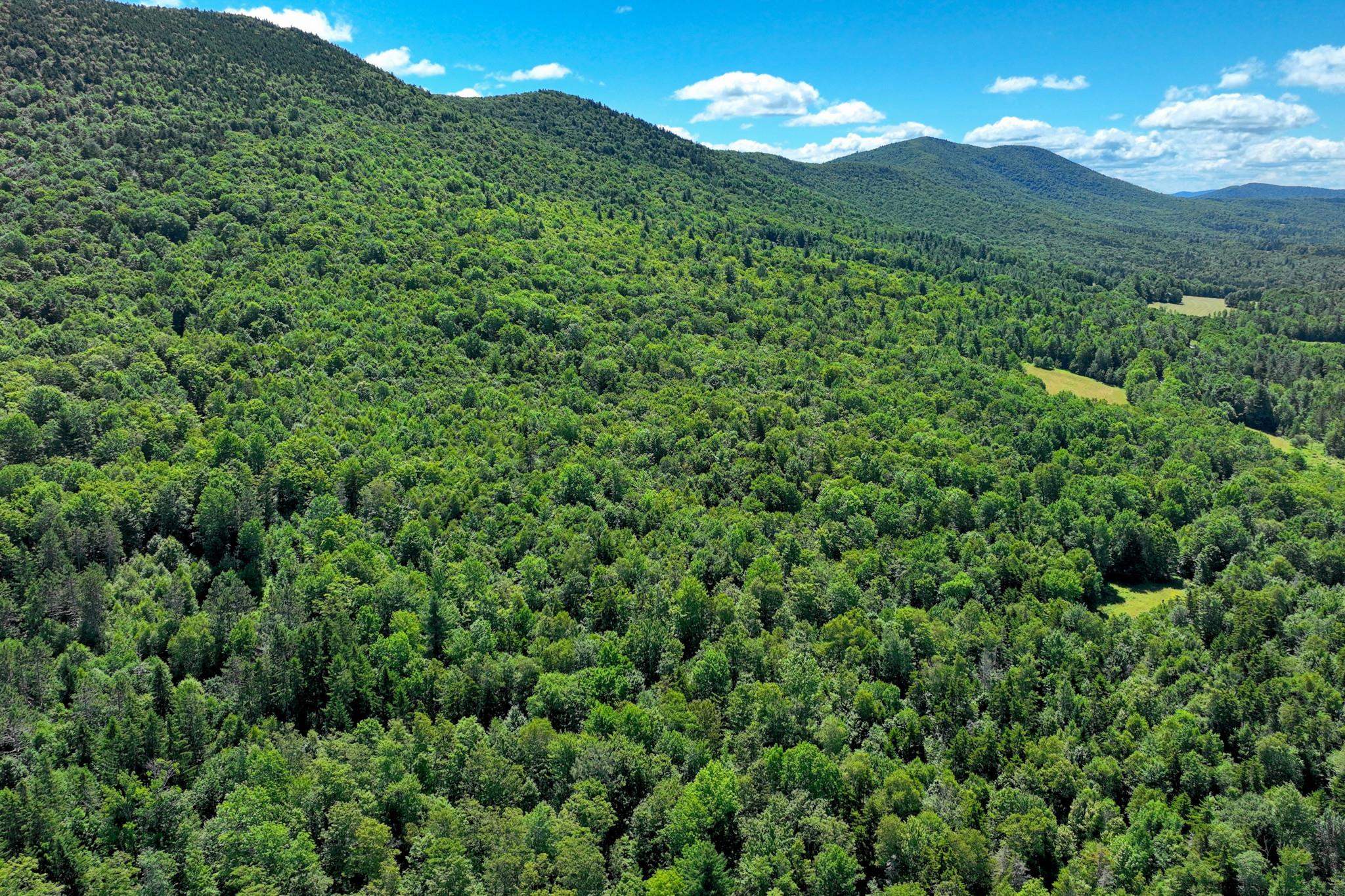 1498 North Hollow Road Rochester, VT 05767 - Photo 15 of 20 Gallery Image 15