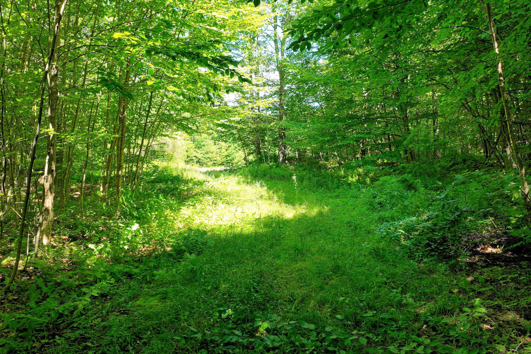 1498 North Hollow Road Rochester, VT 05767 - Photo 4 of 20 Gallery Image 4