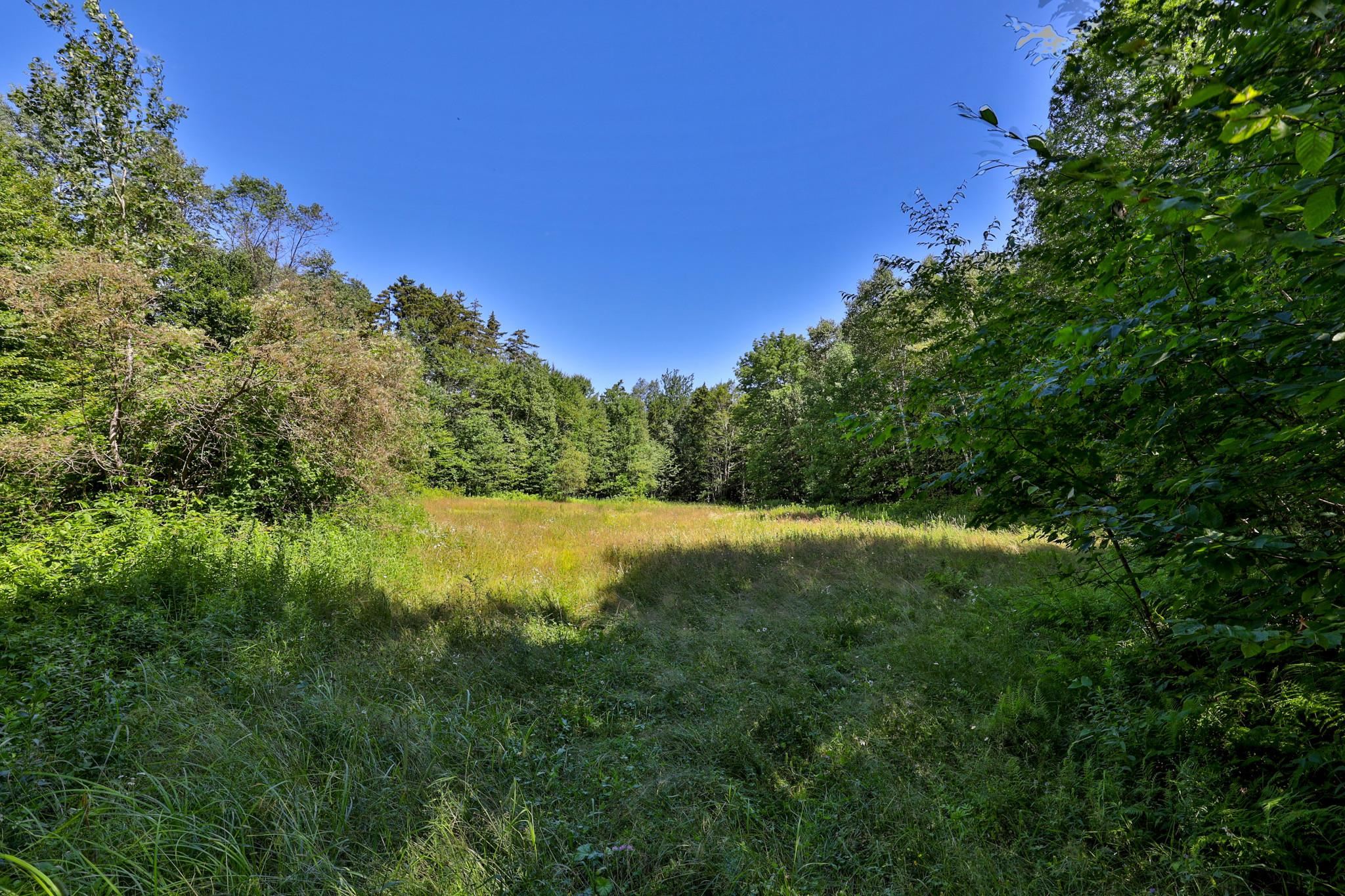 1498 North Hollow Road Rochester, VT 05767 - Photo 5 of 20 Gallery Image 5
