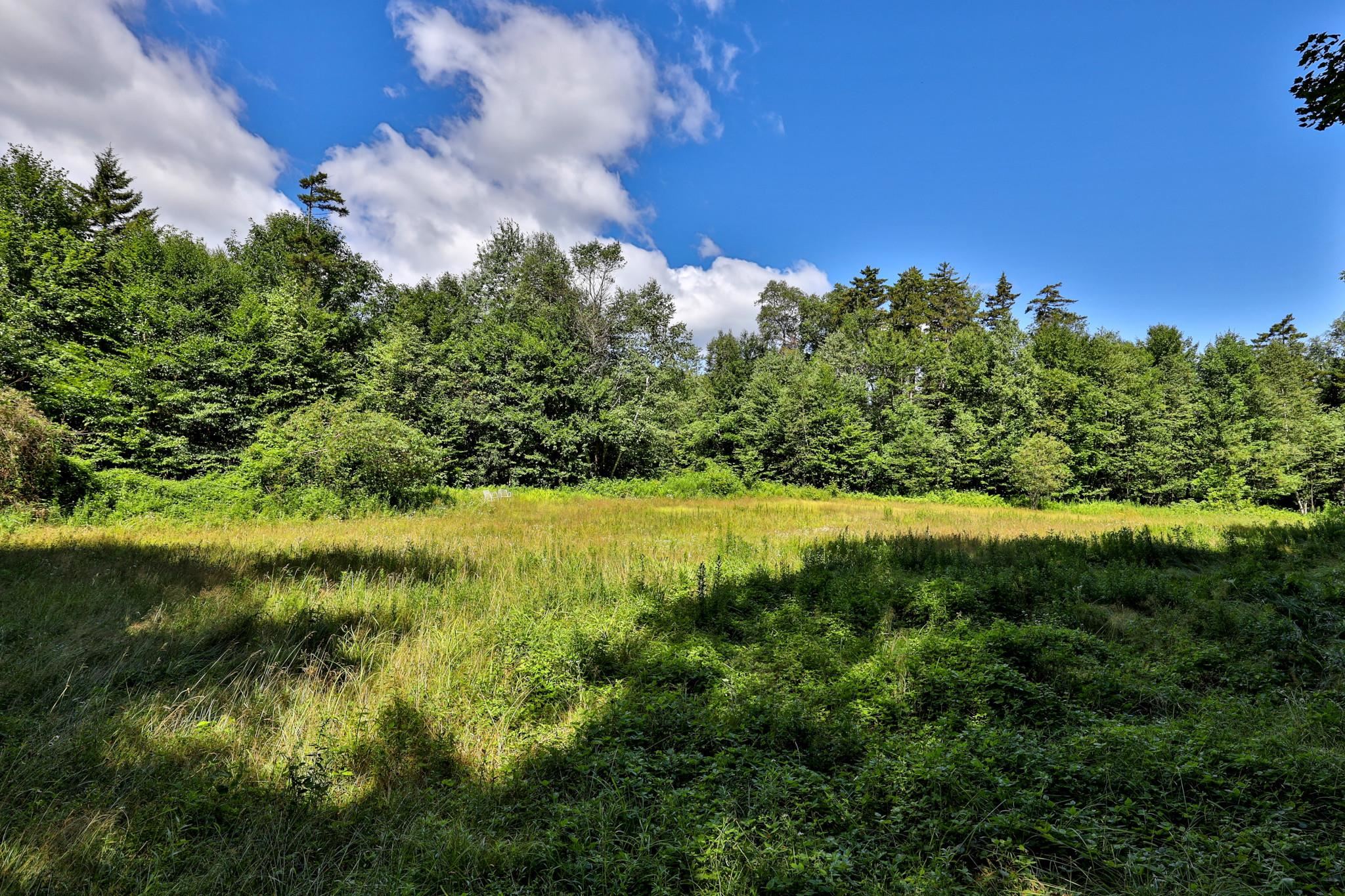 1498 North Hollow Road Rochester, VT 05767 - Photo 6 of 20 Gallery Image 6