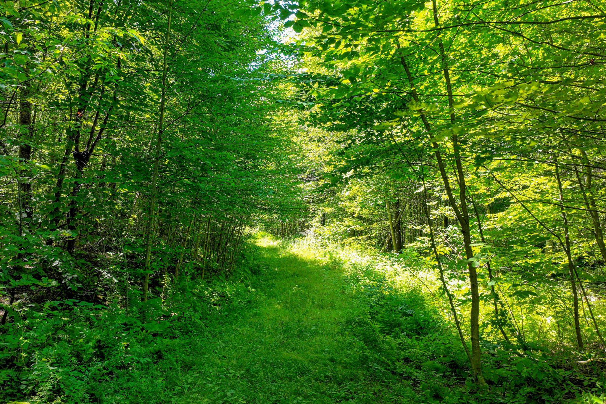 1498 North Hollow Road Rochester, VT 05767 - Photo 9 of 20 Gallery Image 9