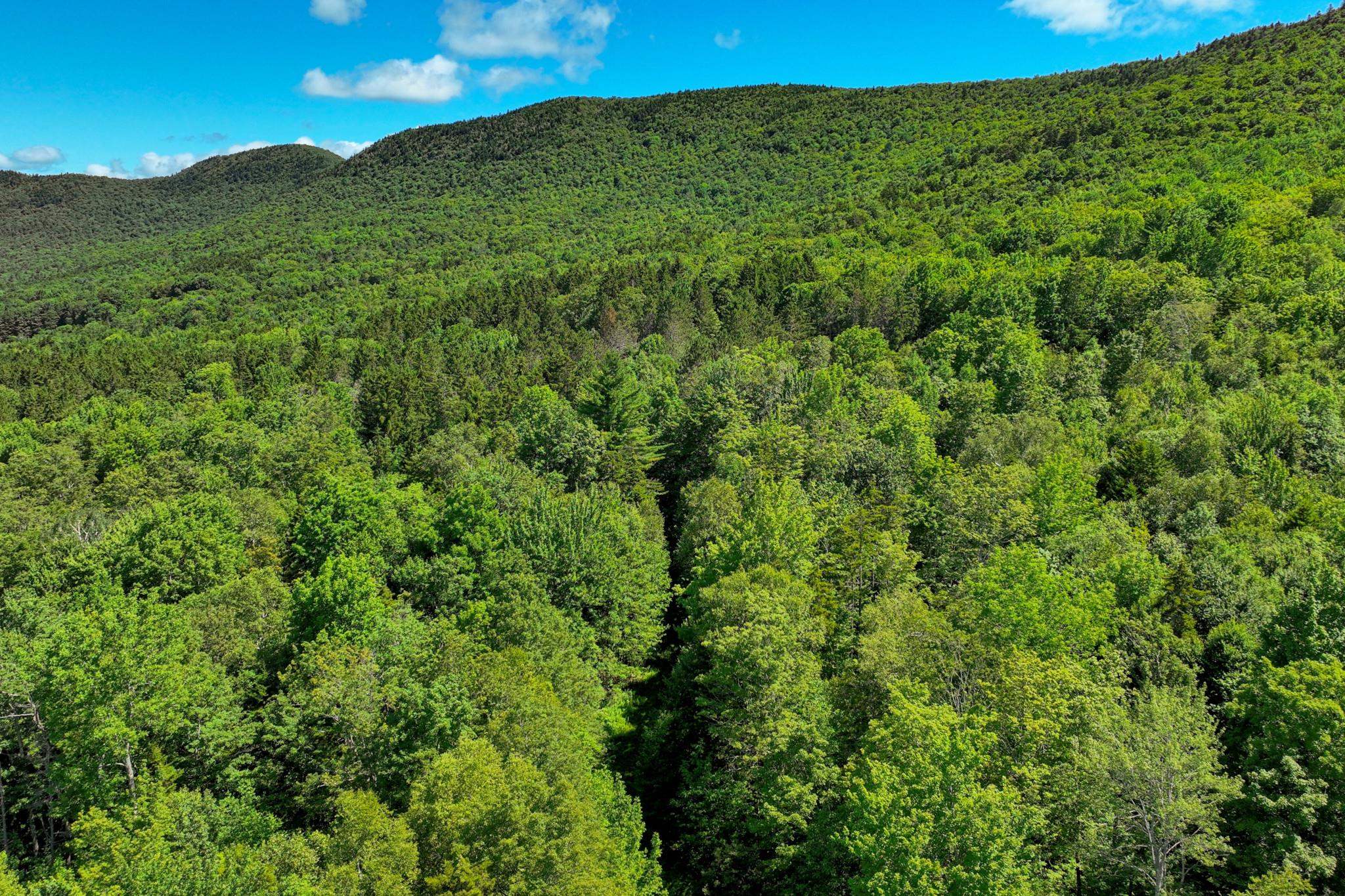 1498 North Hollow Road Rochester, VT 05767 - Photo 10 of 20 Gallery Image 10