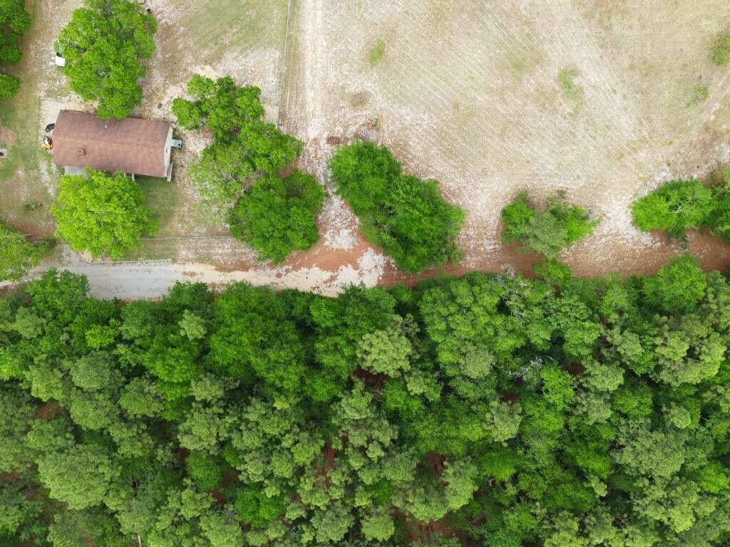 Lot 4 Holiness Church Road Wagener, SC 29164 - Photo 11 of 17