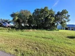 a view of a back yard