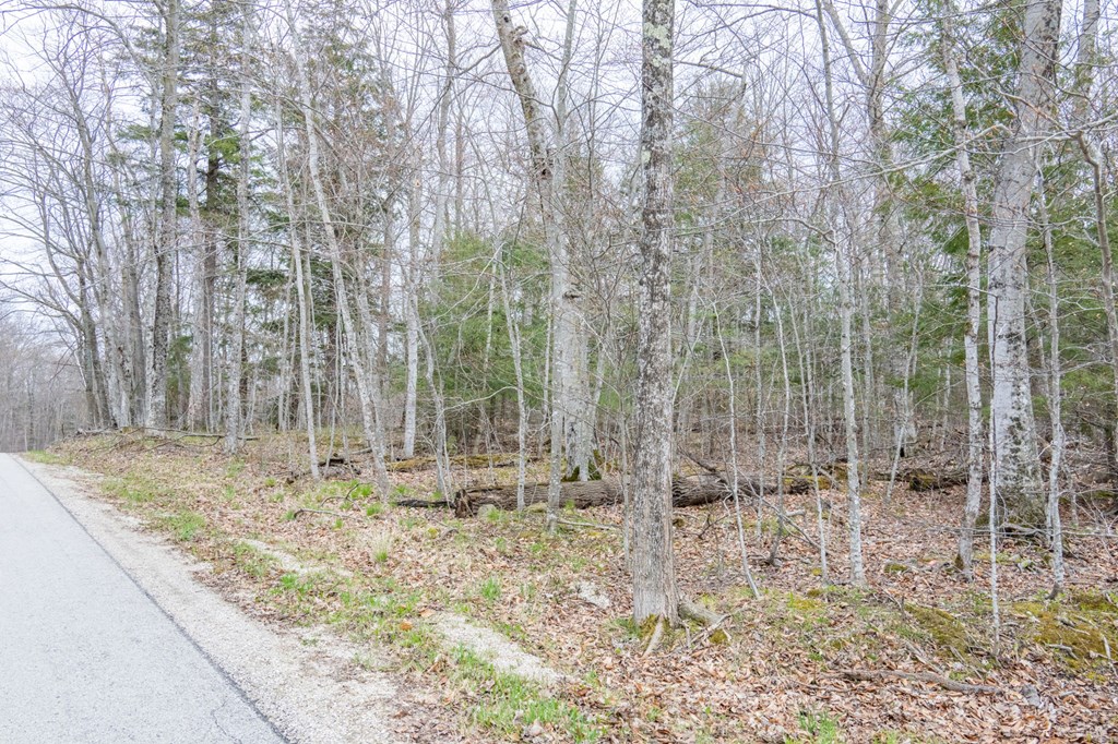 Lot 2 Cottage Road Ellison Bay, WI 54210 - Photo 18 of 30