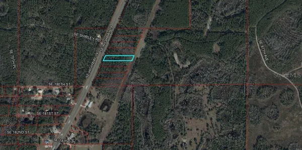 a view of house with a tree