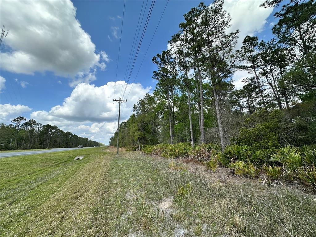 19 Southeast Inglis Inglis, FL 34449 - Photo 2 of 14 a view of a lush green forest