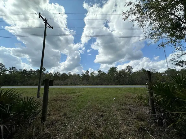 a view of a field with a big yard