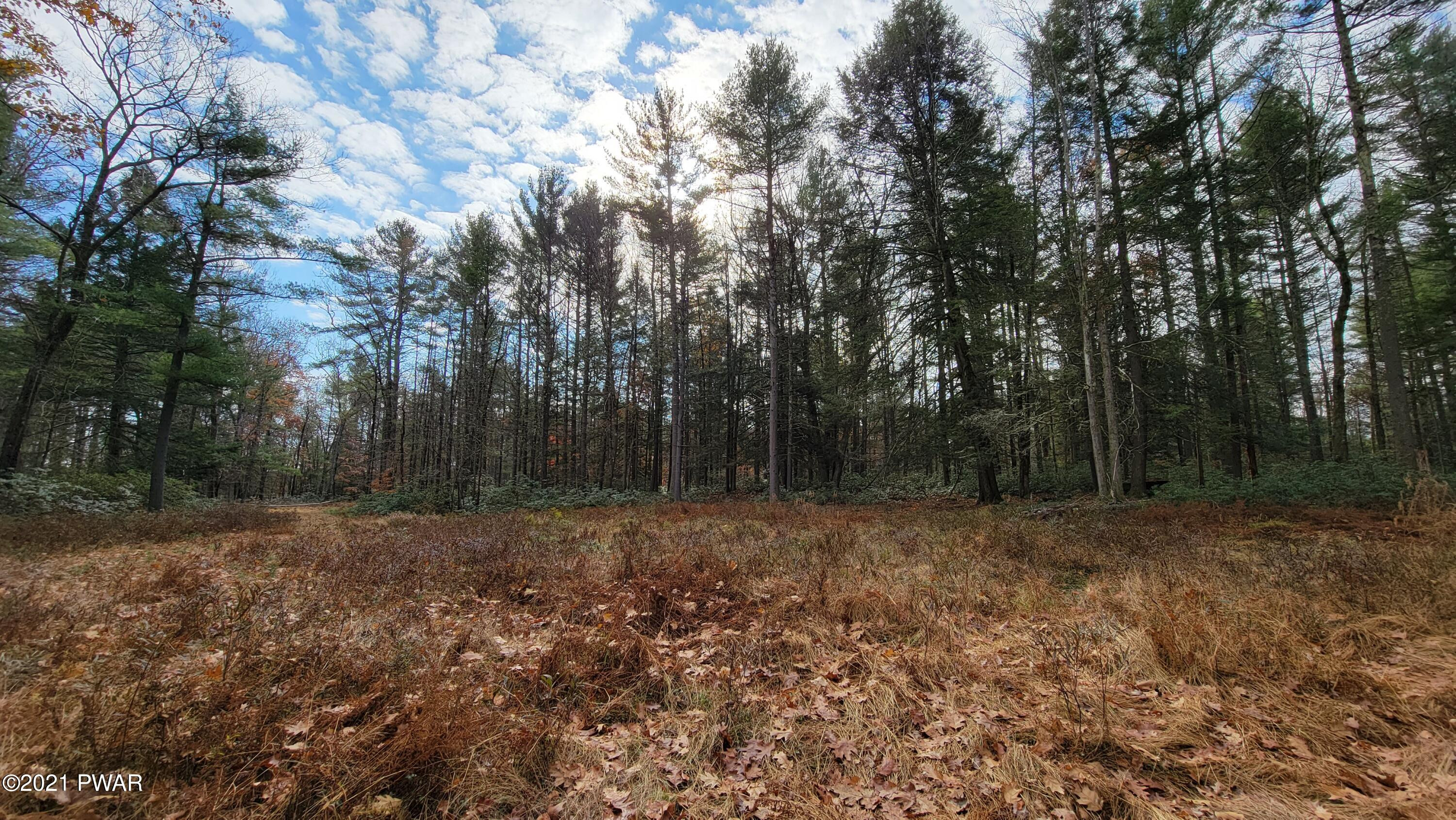 Lot 61 Perry Pond Road Narrowsburg, NY 12764 - Photo 11 of 19