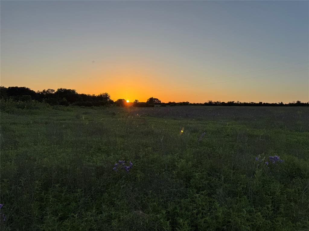 Tbd Tbd 4120th Meridian, TX 76665 - Photo 17 of 23 a view of a lush green space with sea