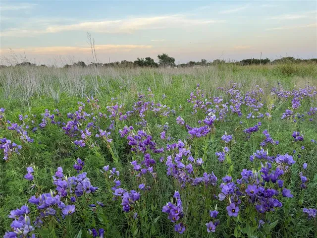 $199,000 | Tbd Tbd 4120th, Meridian, TX 76665