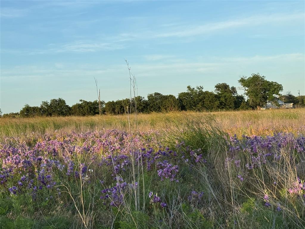 Tbd Tbd 4120th Meridian, TX 76665 - Photo 4 of 23 a view of lake with green space