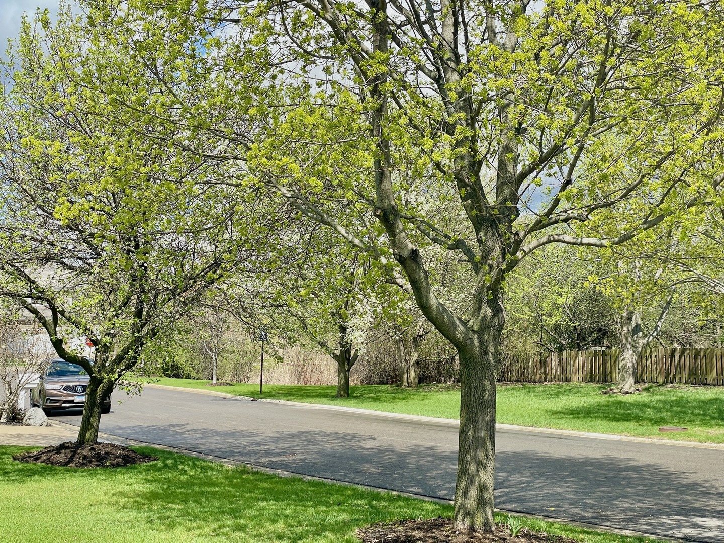88 Hackney Lane Lindenhurst, IL 60046 - Photo 60 of 60