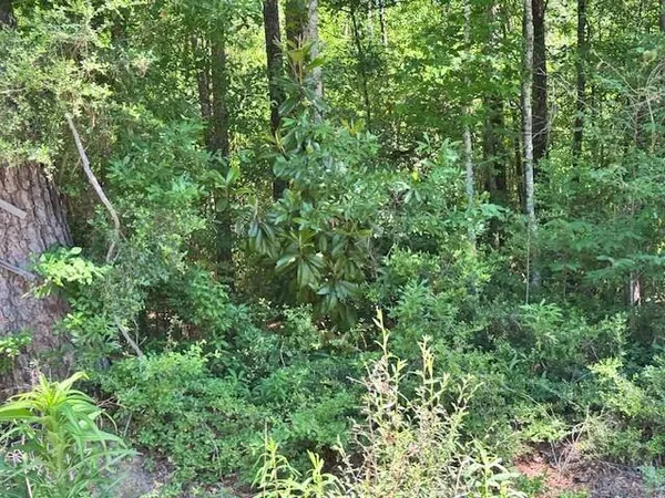 $8,000 | 0 Adams Street, Bogalusa, LA 70427
