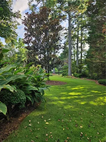 a green field with lots of trees