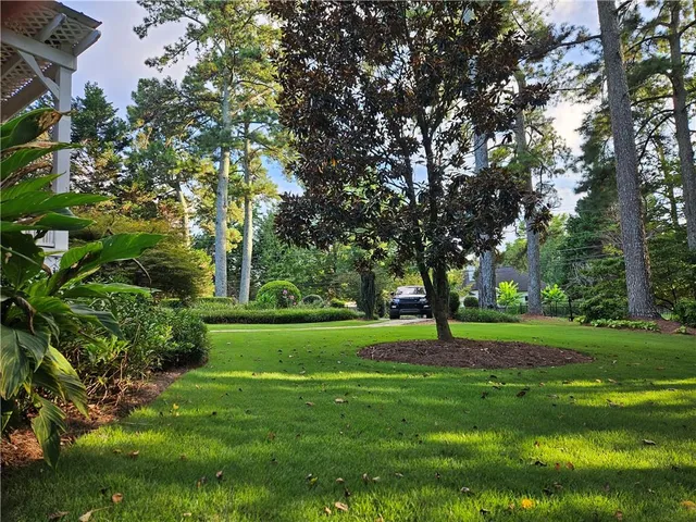 a view of a big yard with plants and large trees