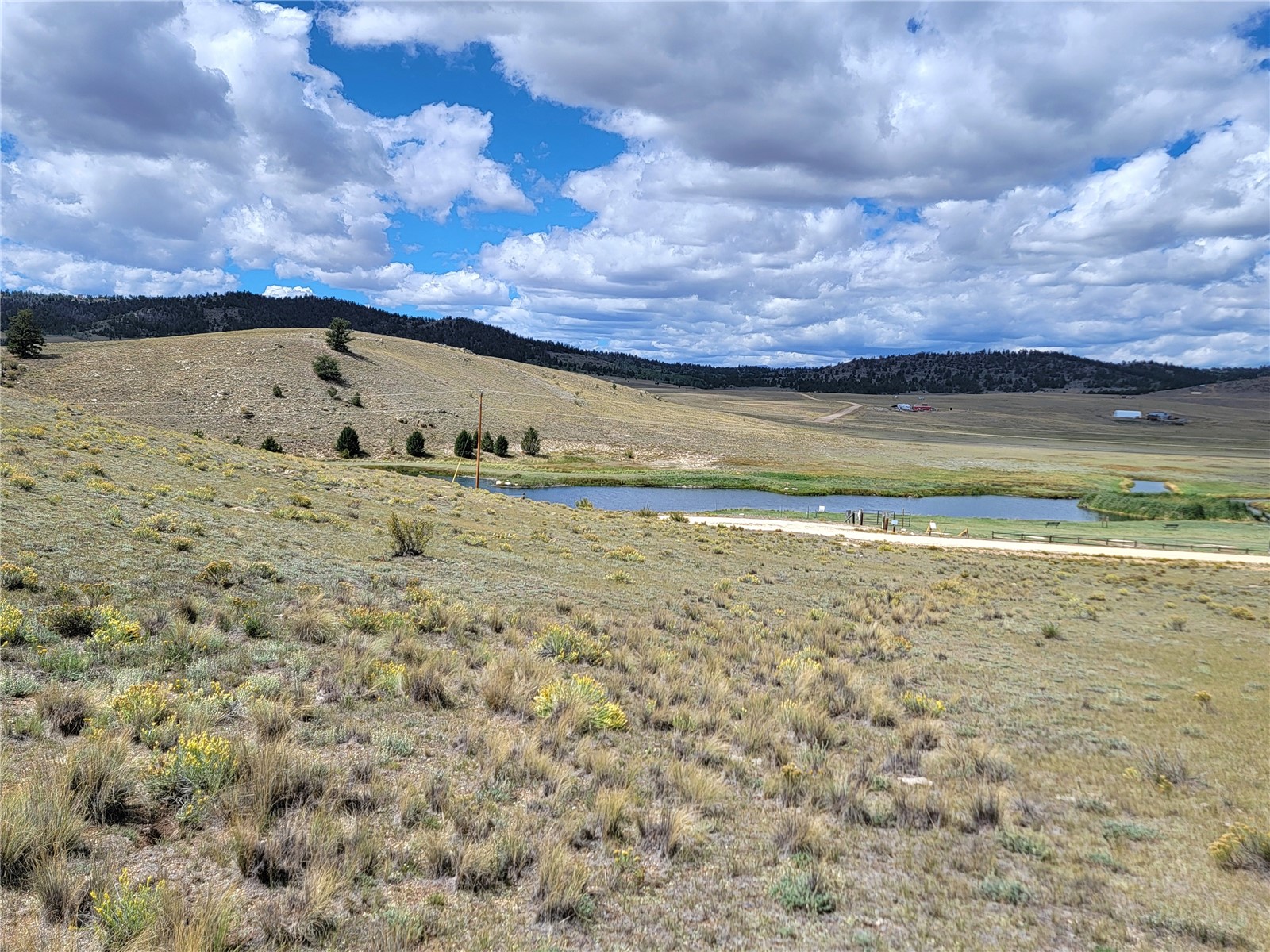 20 Yellowstone Road Hartsel, CO 80449 - Photo 47 of 50 Gallery Image 47