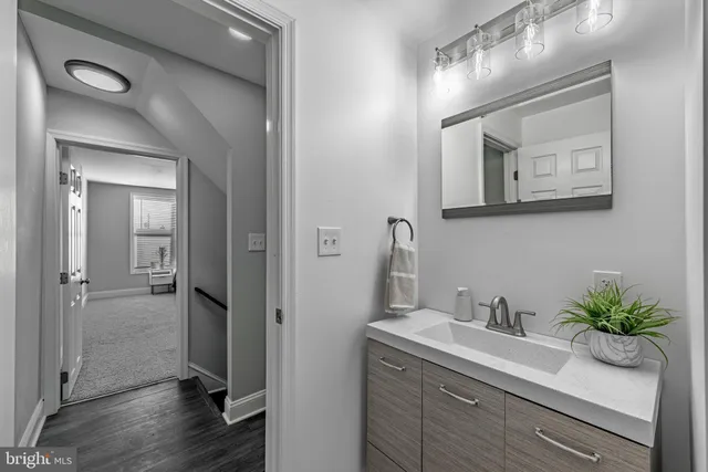 a bathroom with a sink a potted plant and a mirror