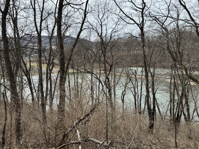 101 State Rte 21 Andover, NY 14806 - Photo 32 of 32