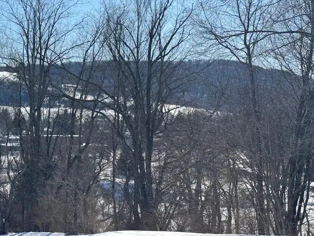 $384,900 | 101 State Rte 21, Andover, NY 14806