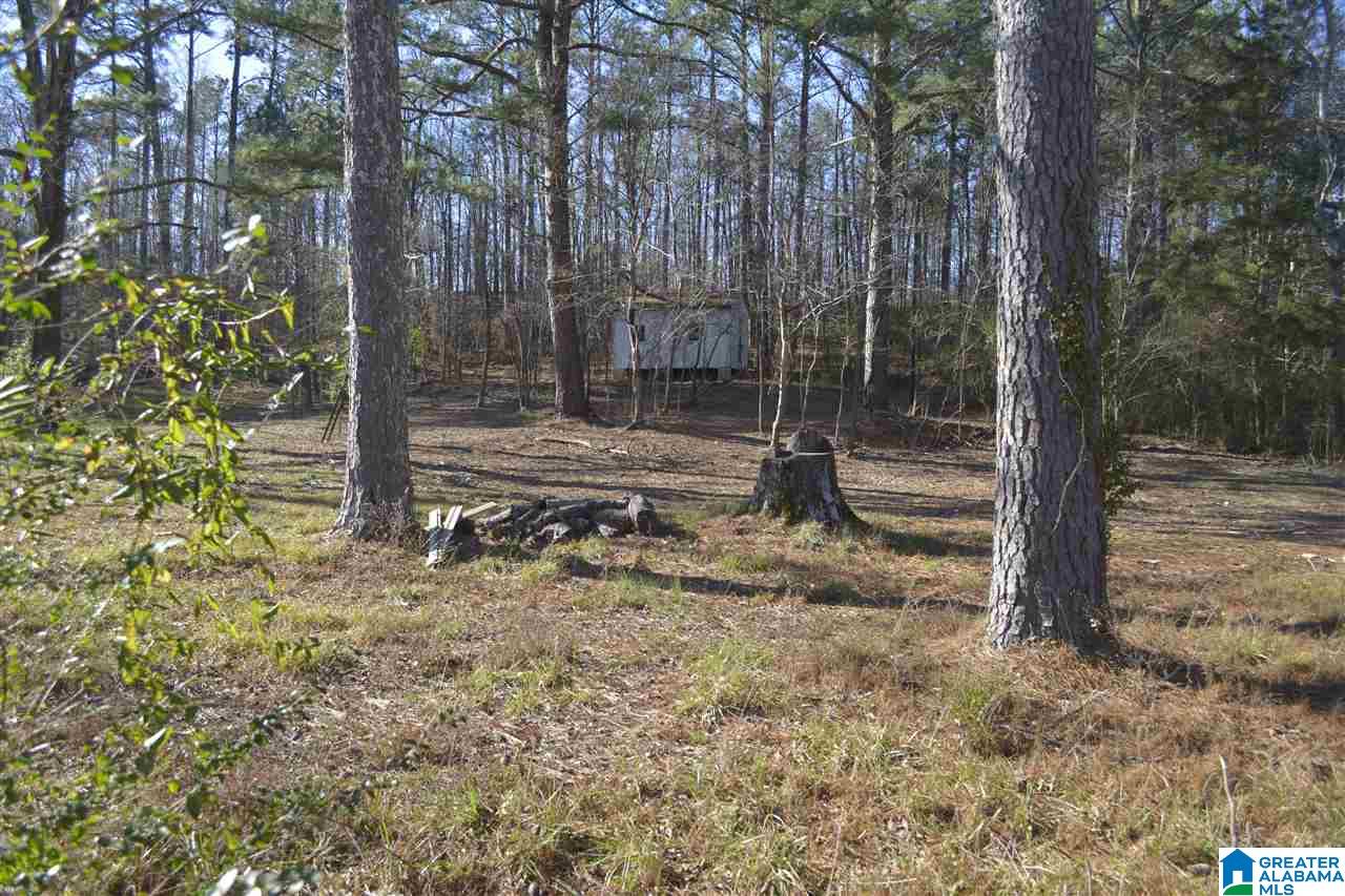 1845 Pelham Road South, Unit VACANT LOT Jacksonville, AL 36265 - Photo 11 of 11