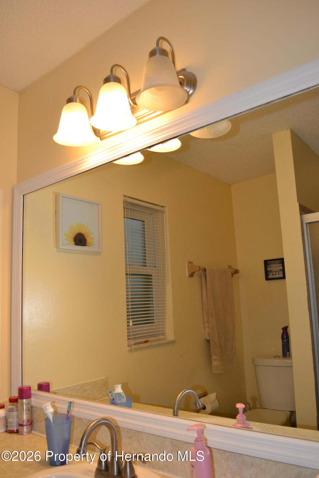 6496 Toledo Road Spring Hill, FL 34606 - Photo 29 of 48