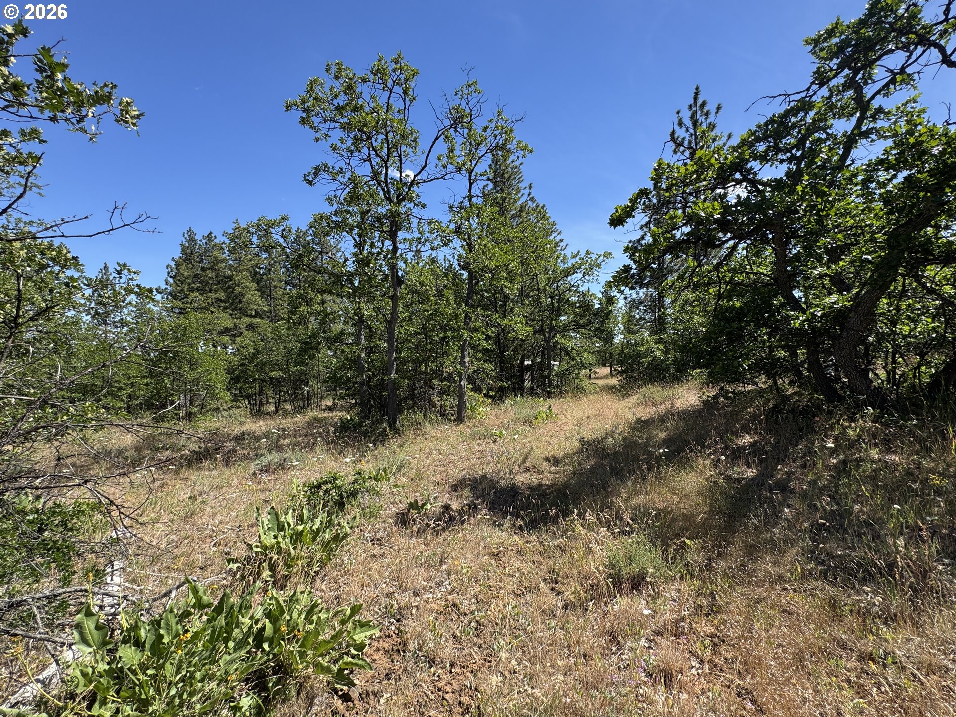 112 Timber Road Roosevelt, WA 99356 - Photo 17 of 31