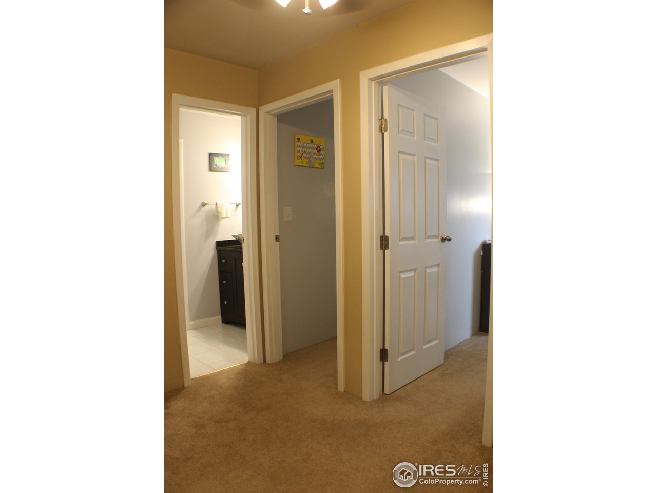 809 East Drake Road, Unit 108 Fort Collins, CO 80525 - Photo 15 of 36 Upstairs Landing