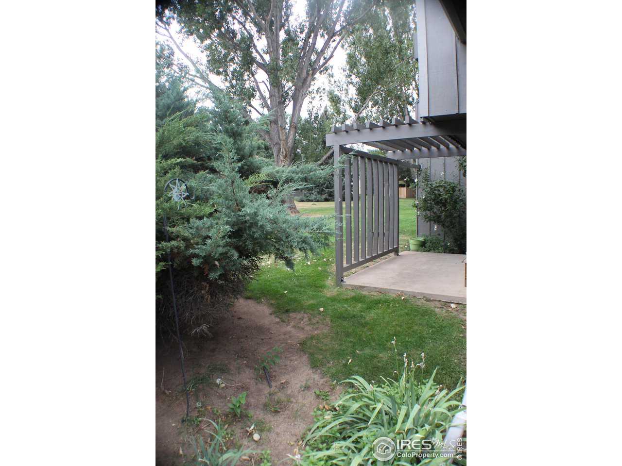 809 East Drake Road, Unit 108 Fort Collins, CO 80525 - Photo 30 of 36 Mature Privacy Shrubbery