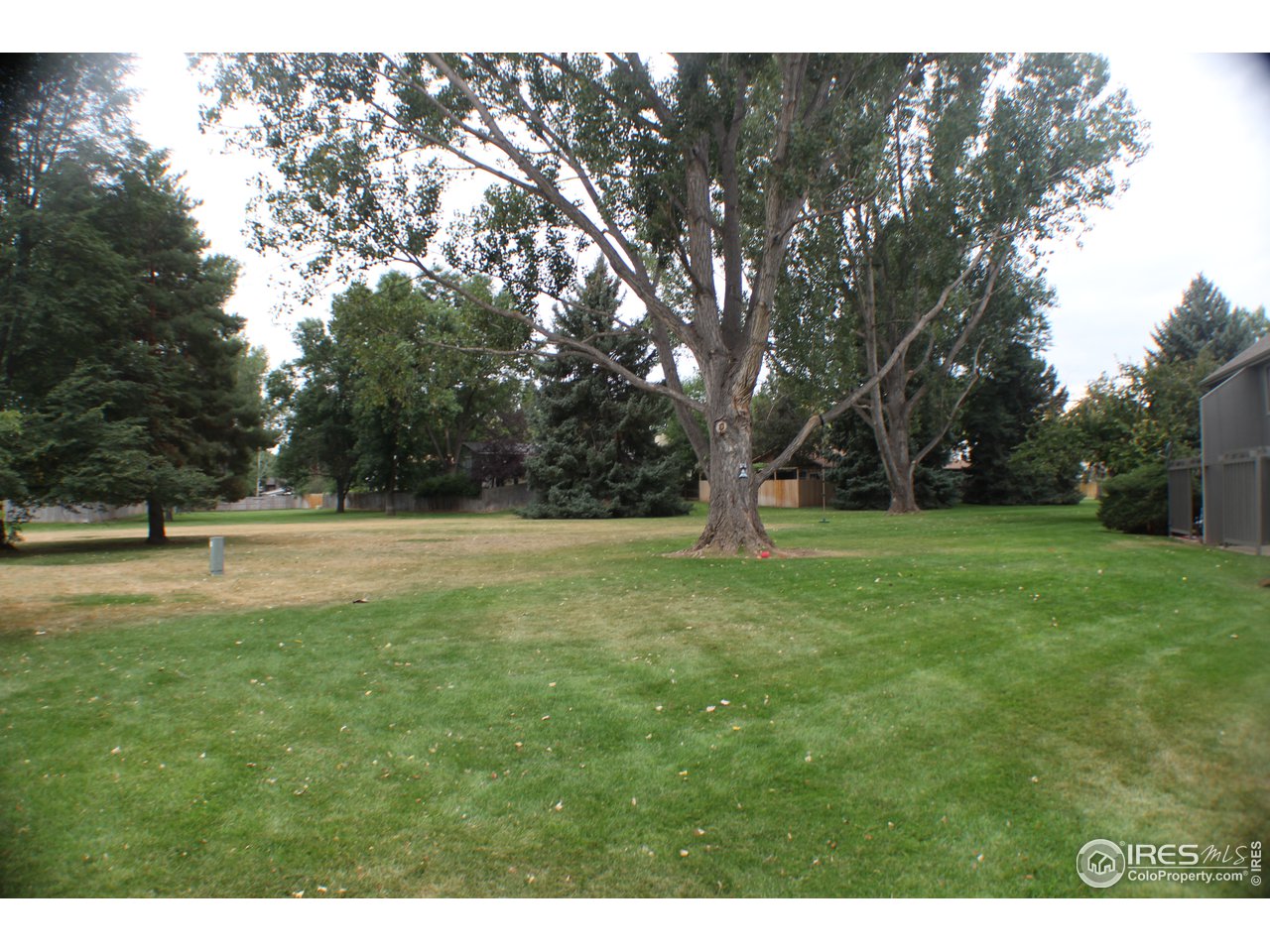 809 East Drake Road, Unit 108 Fort Collins, CO 80525 - Photo 31 of 36 Let your Dog Play!