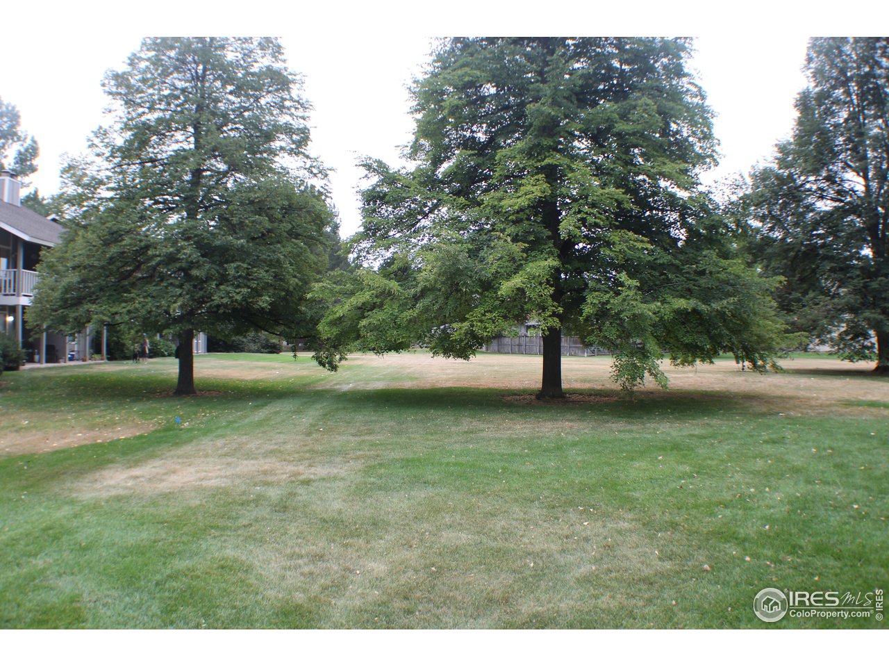 809 East Drake Road, Unit 108 Fort Collins, CO 80525 - Photo 32 of 36 Mature Trees