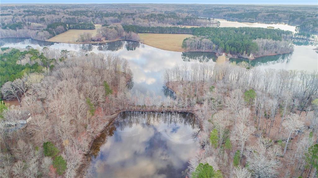 0 Malone Road Fayetteville, GA 30215 - Photo 12 of 13