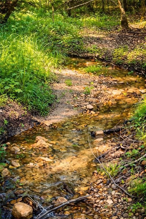 0 Malone Road Fayetteville, GA 30215 - Photo 3 of 13