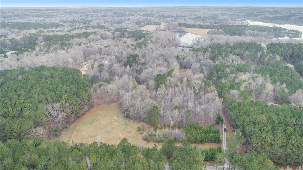 0 Malone Road Fayetteville, GA 30215 - Photo 10 of 13