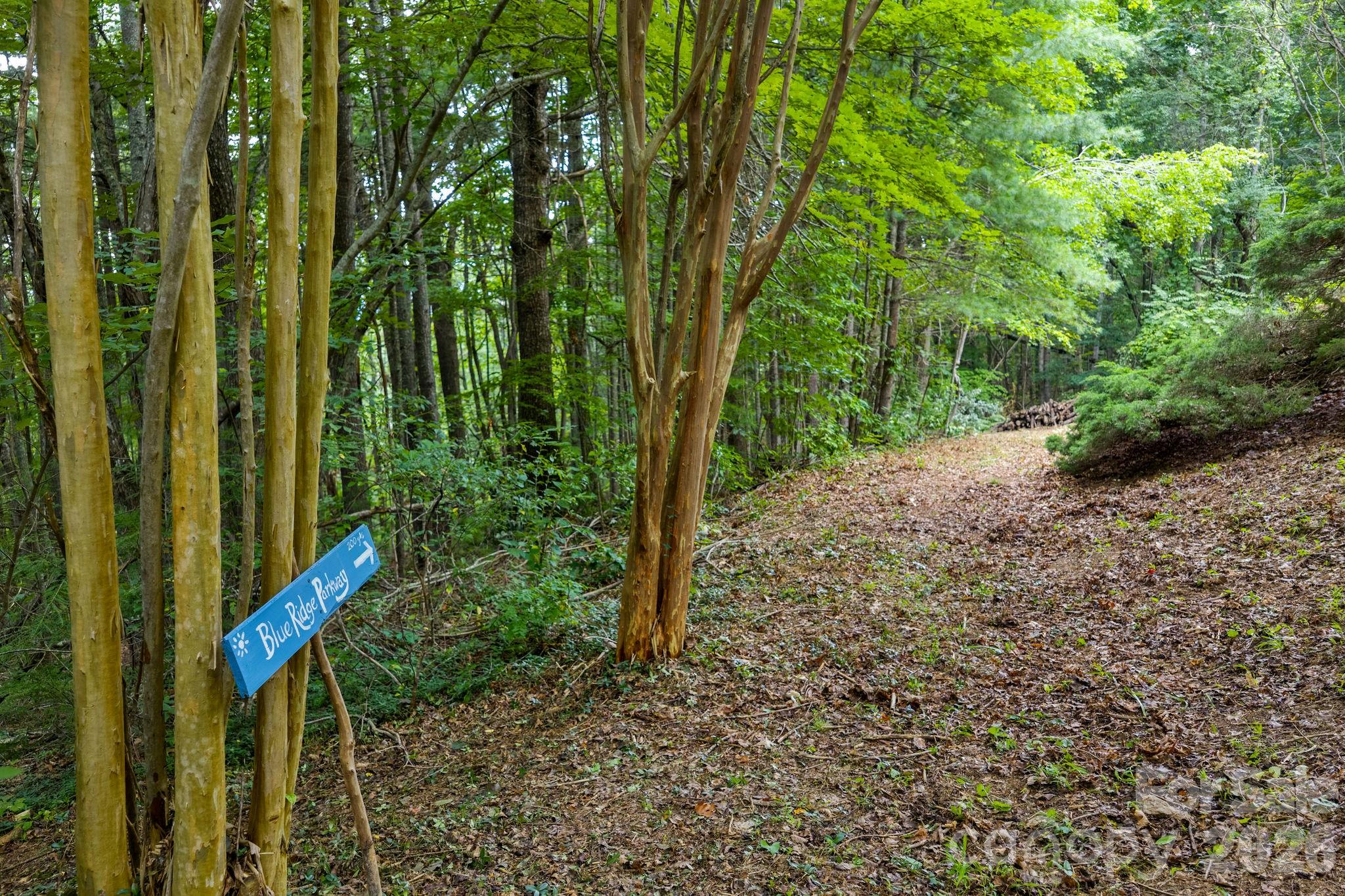 150 Avondale Ridge Road Asheville, NC 28803 - Photo 25 of 45 a view of an outdoor space with a forest