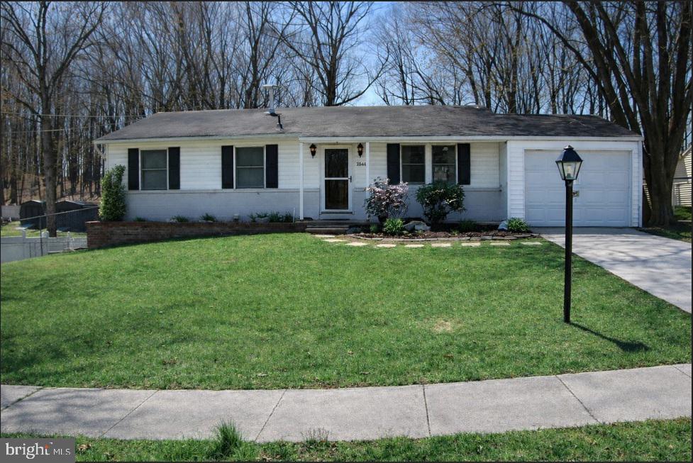 a view of a yard in front of a house with plants and large tree