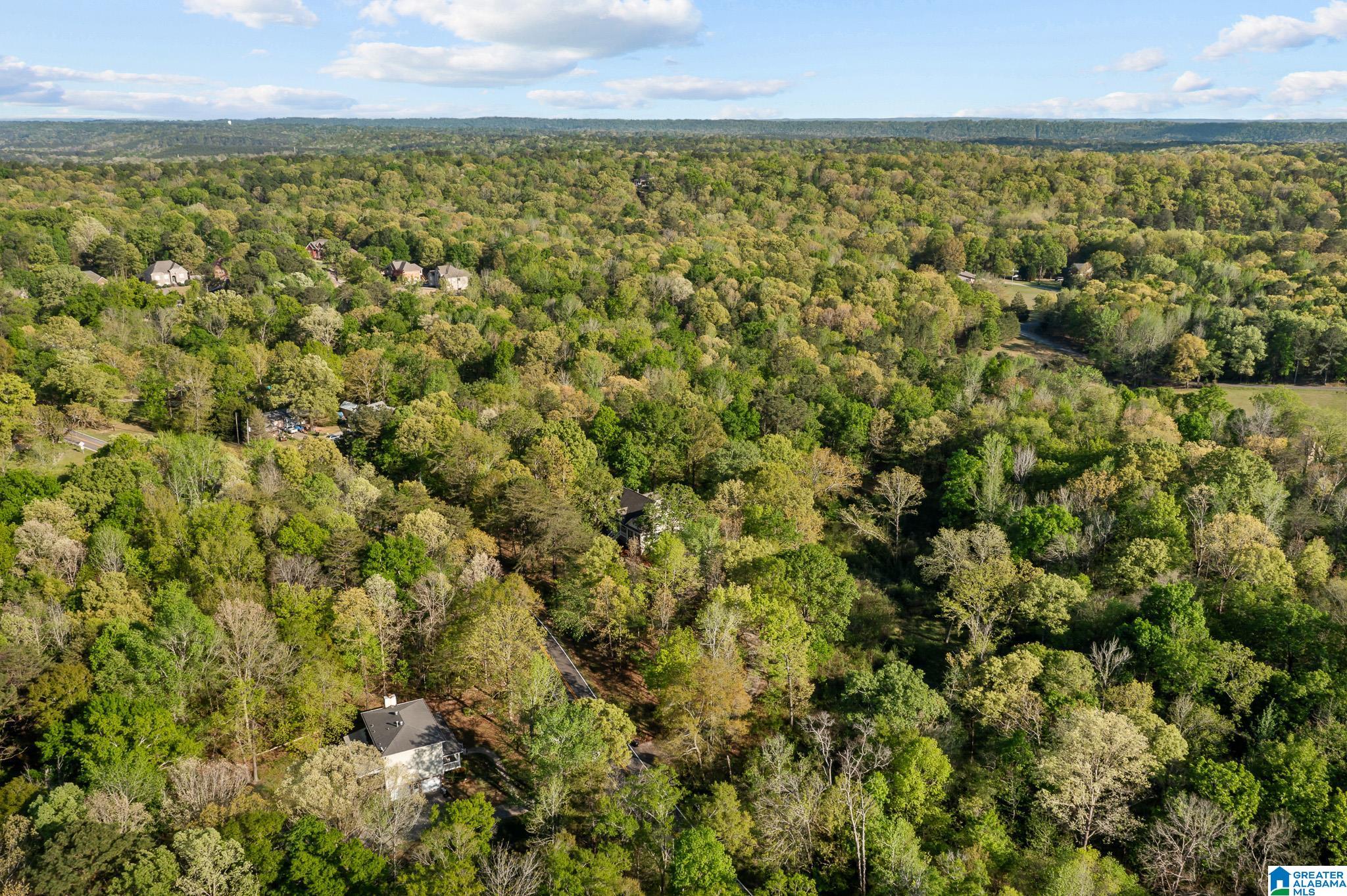 6050 Coleman Lake Road McCalla, AL 35111 - Photo 45 of 54