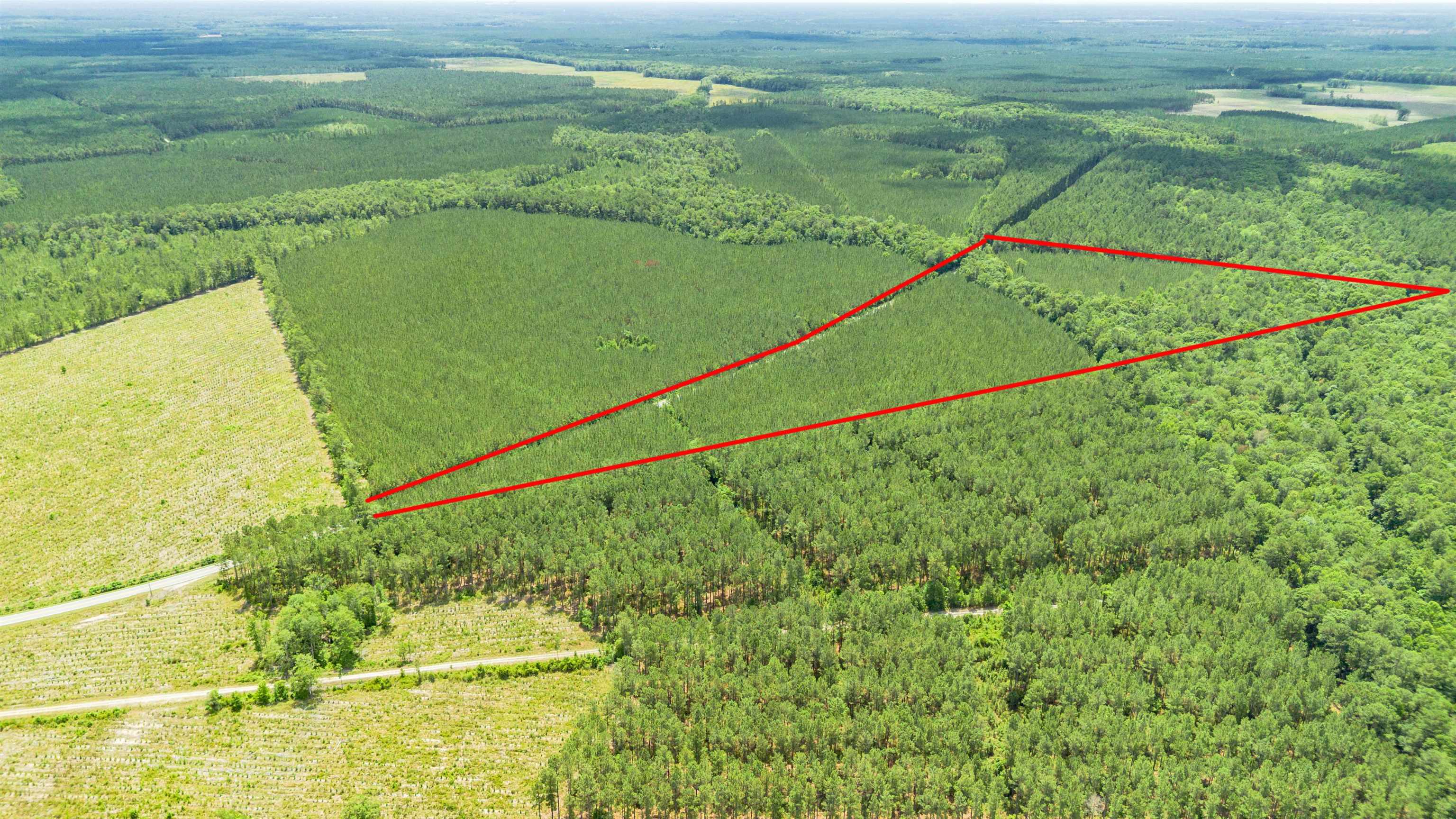 Ten 10 Acre Road Andrews, SC 29510 - Photo 10 of 15