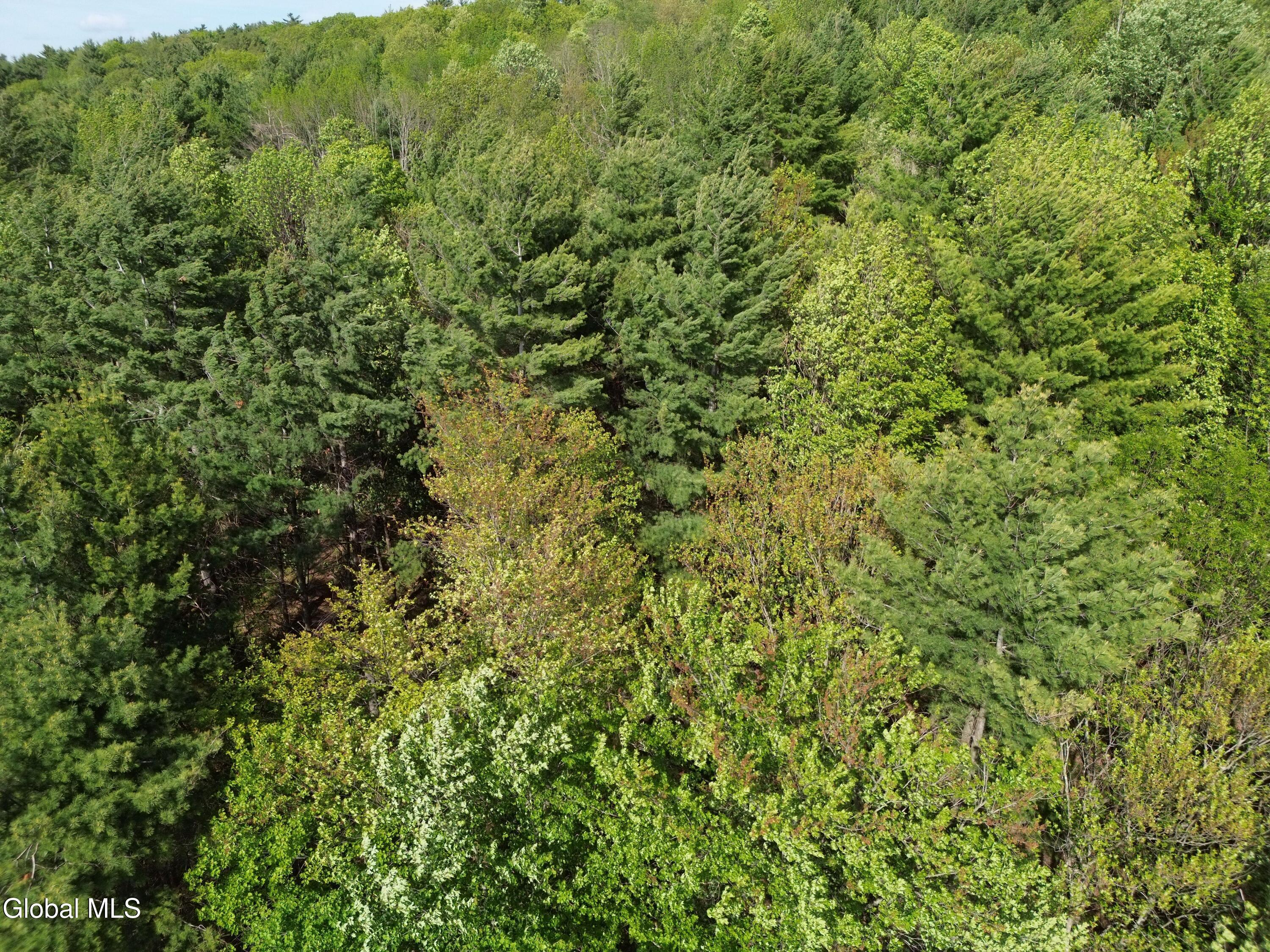 264 Conley Road Cambridge, NY 12816 - Photo 6 of 7 DJI_0414