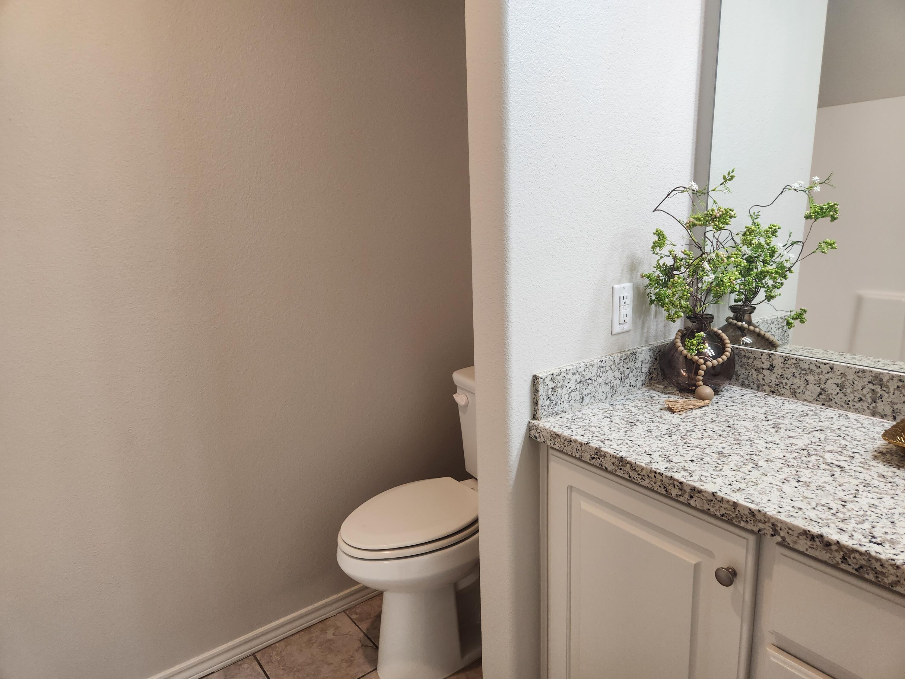 8702 13th Street Lubbock, TX 79416 - Photo 10 of 25 a bathroom with a granite countertop sink a toilet and potted plant