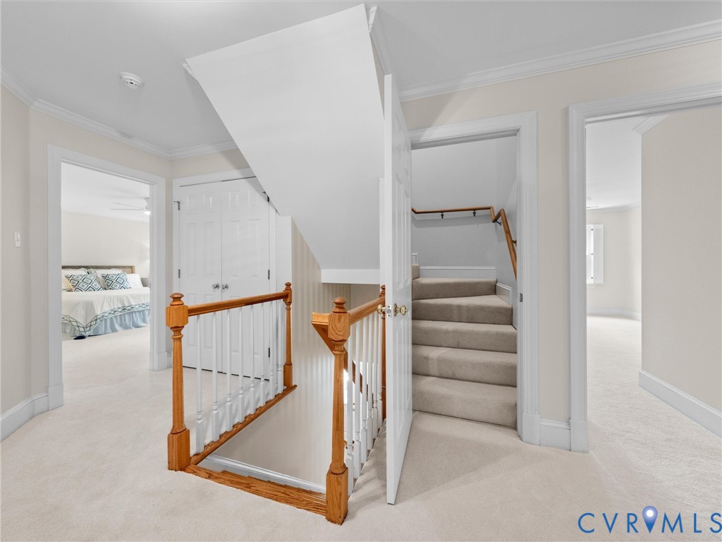 2011 Gamelaw Court Midlothian, VA 23113 - Photo 56 of 77 3rd Floor Rec Room/Optional 5th Bed