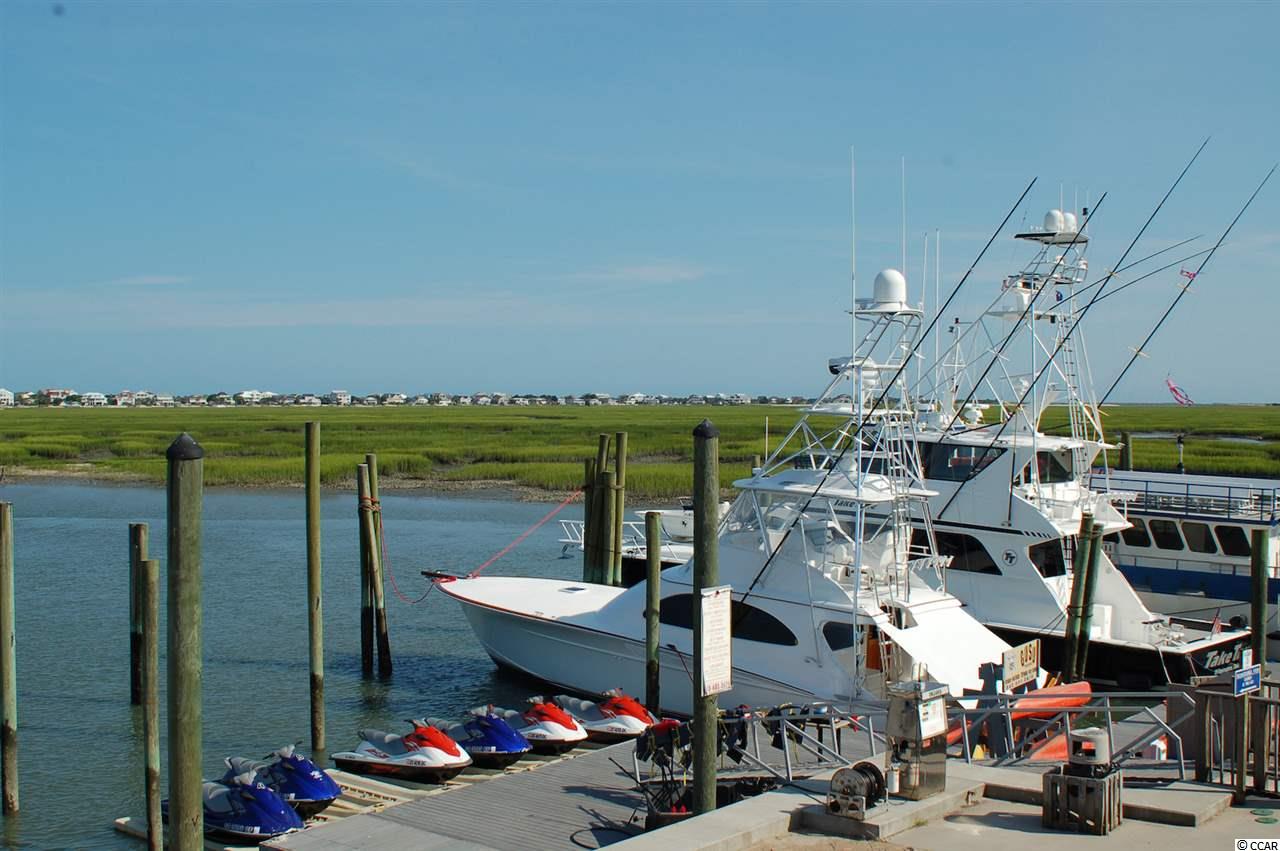9 Saltwater Way Murrells Inlet, SC 29576 - Photo 37 of 38