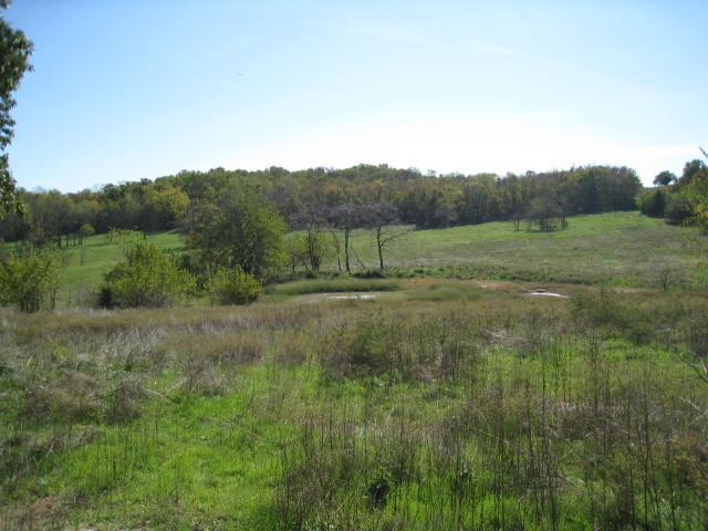 0 Rt Y Arcola, MO 65603 - Photo 1 of 1 Primary Photo