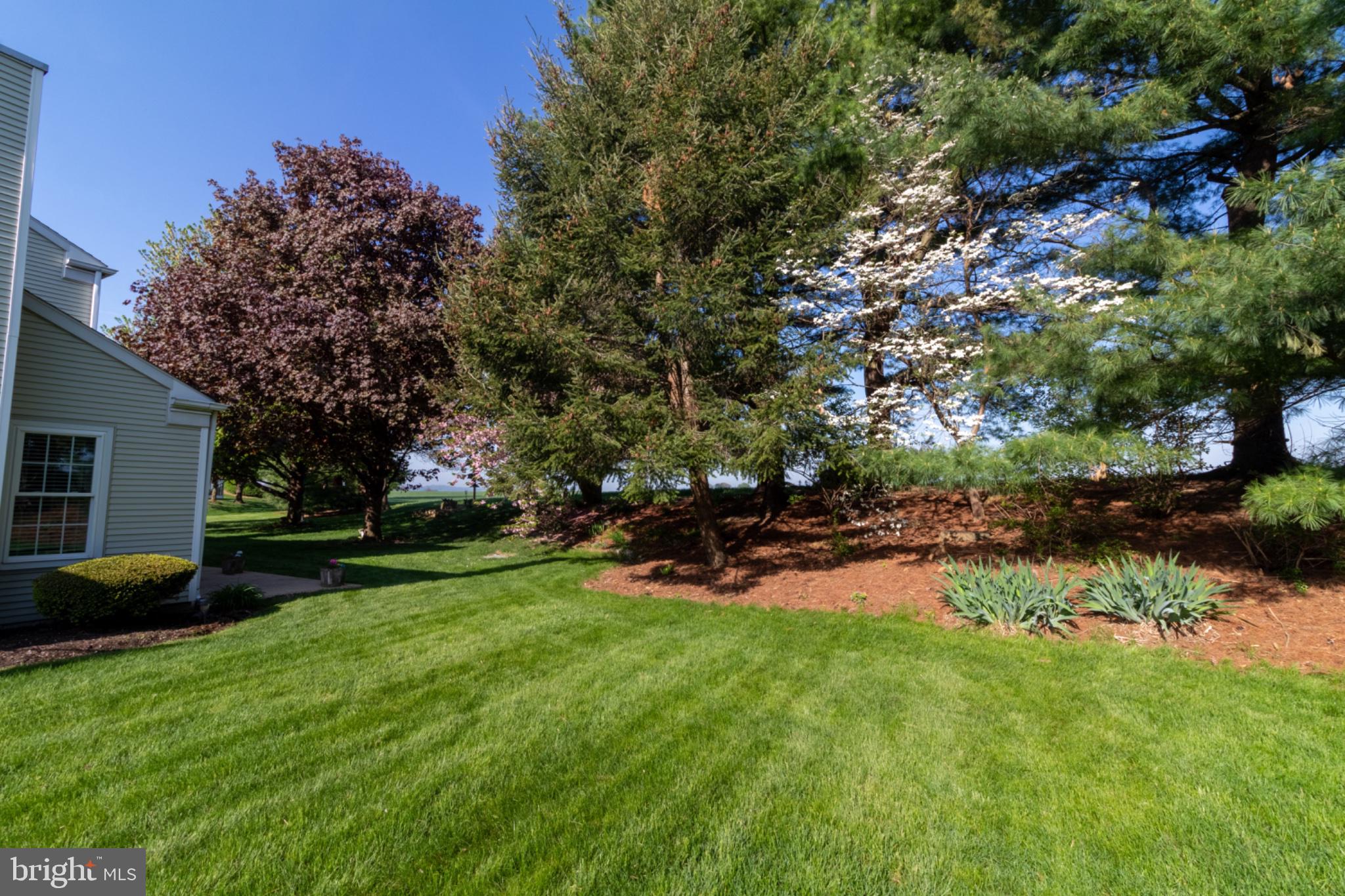 1849 Wexford Road Palmyra, PA 17078 - Photo 8 of 44 Lush greenery and vibrant trees await.