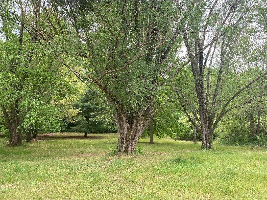 13616 Rose Road Plymouth, IN 46563 - Photo 16 of 16